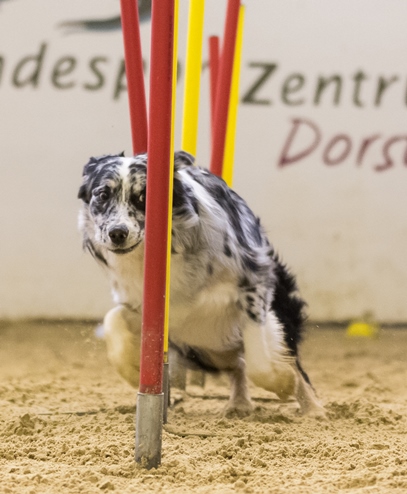 150228_123004_MG_3711