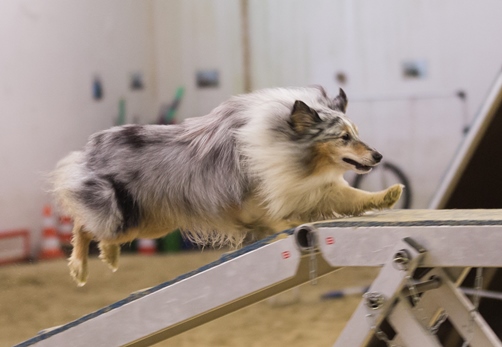 150301_110256_MG_4284