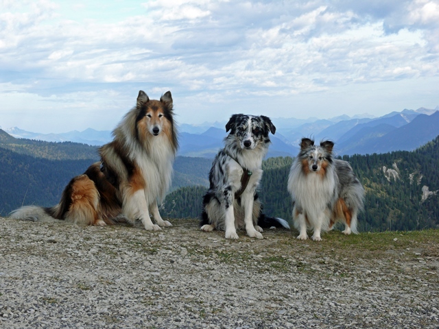 Garmisch3