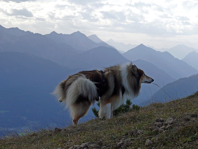 Garmisch4