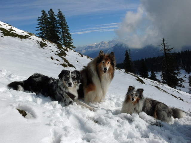 Garmisch5