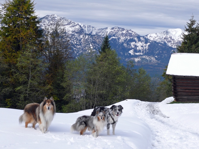 Garmisch6