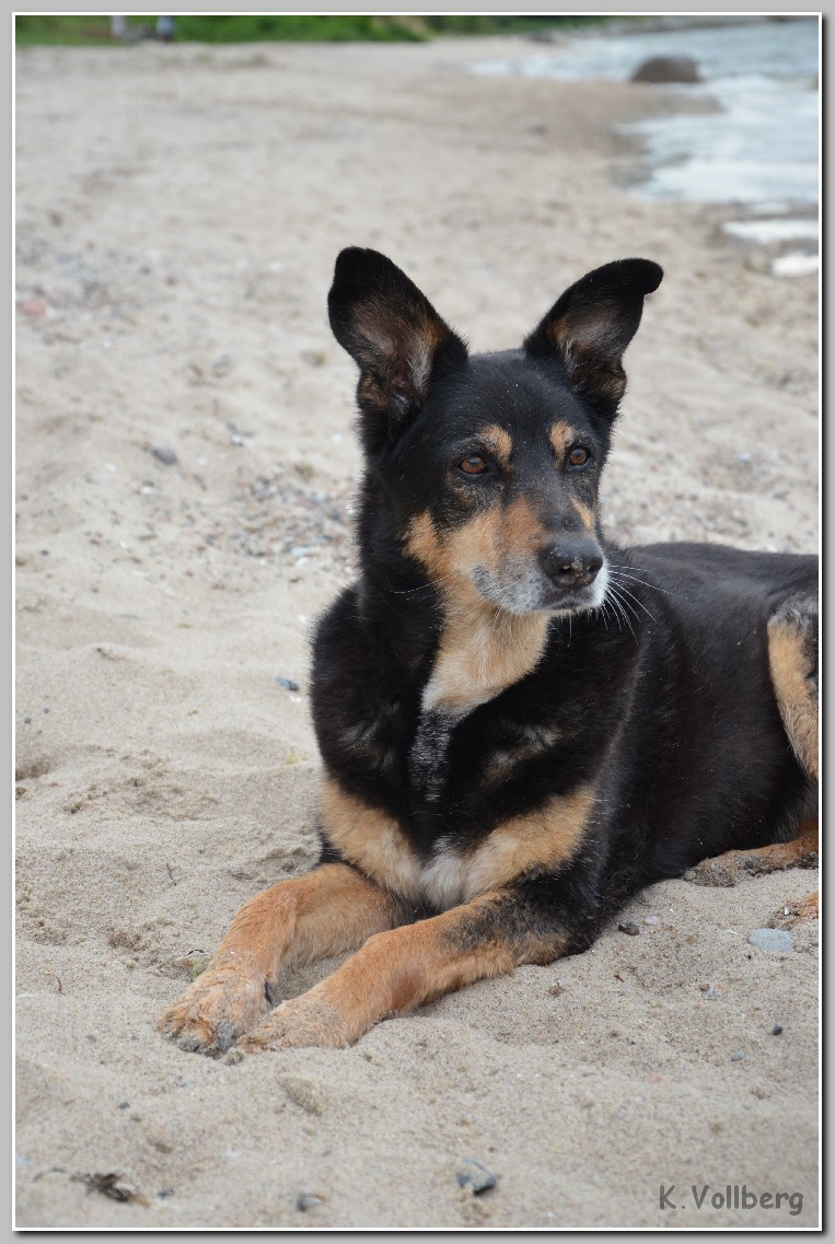 Luzie04
