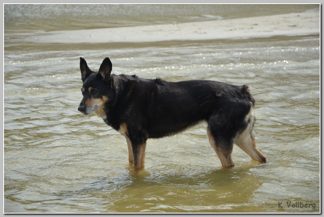 Luzie05