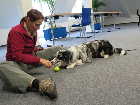 Schulhund1 (1)