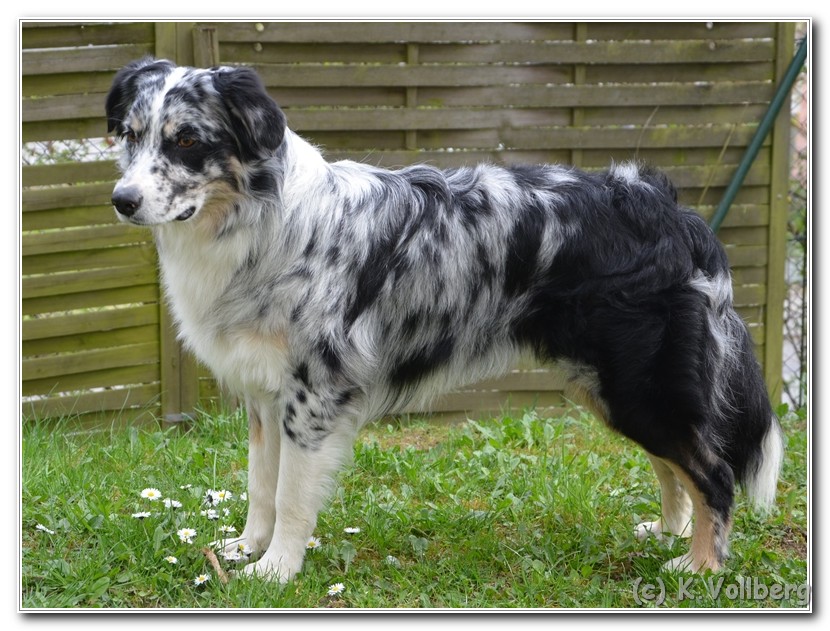 Toryn3Jahre (2)