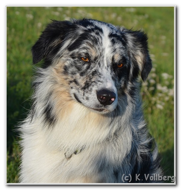Toryn3Jahre (3)