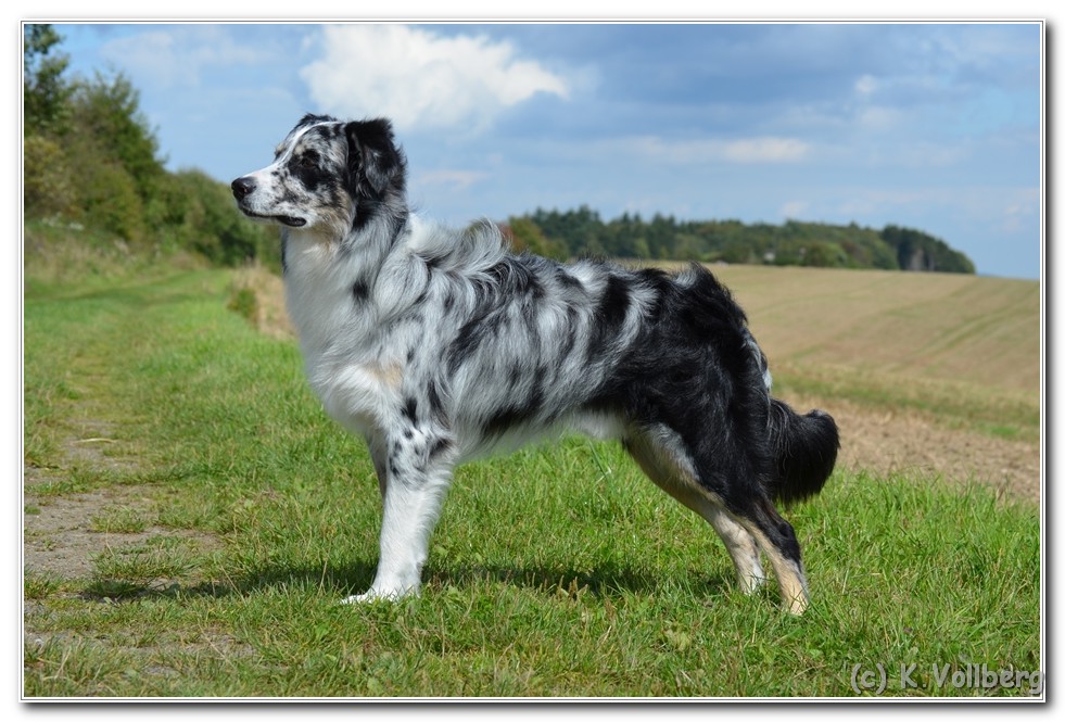 Toryn3Jahre (4)