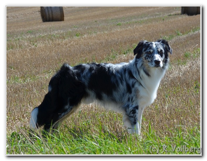 Toryn3Jahre (5)