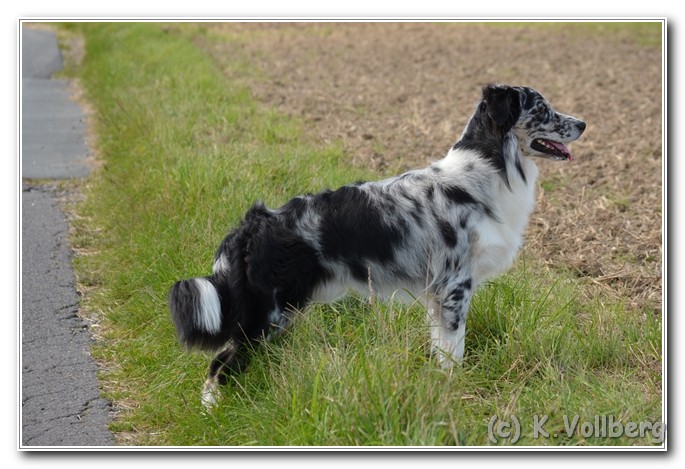 Toryn3Jahre (6)