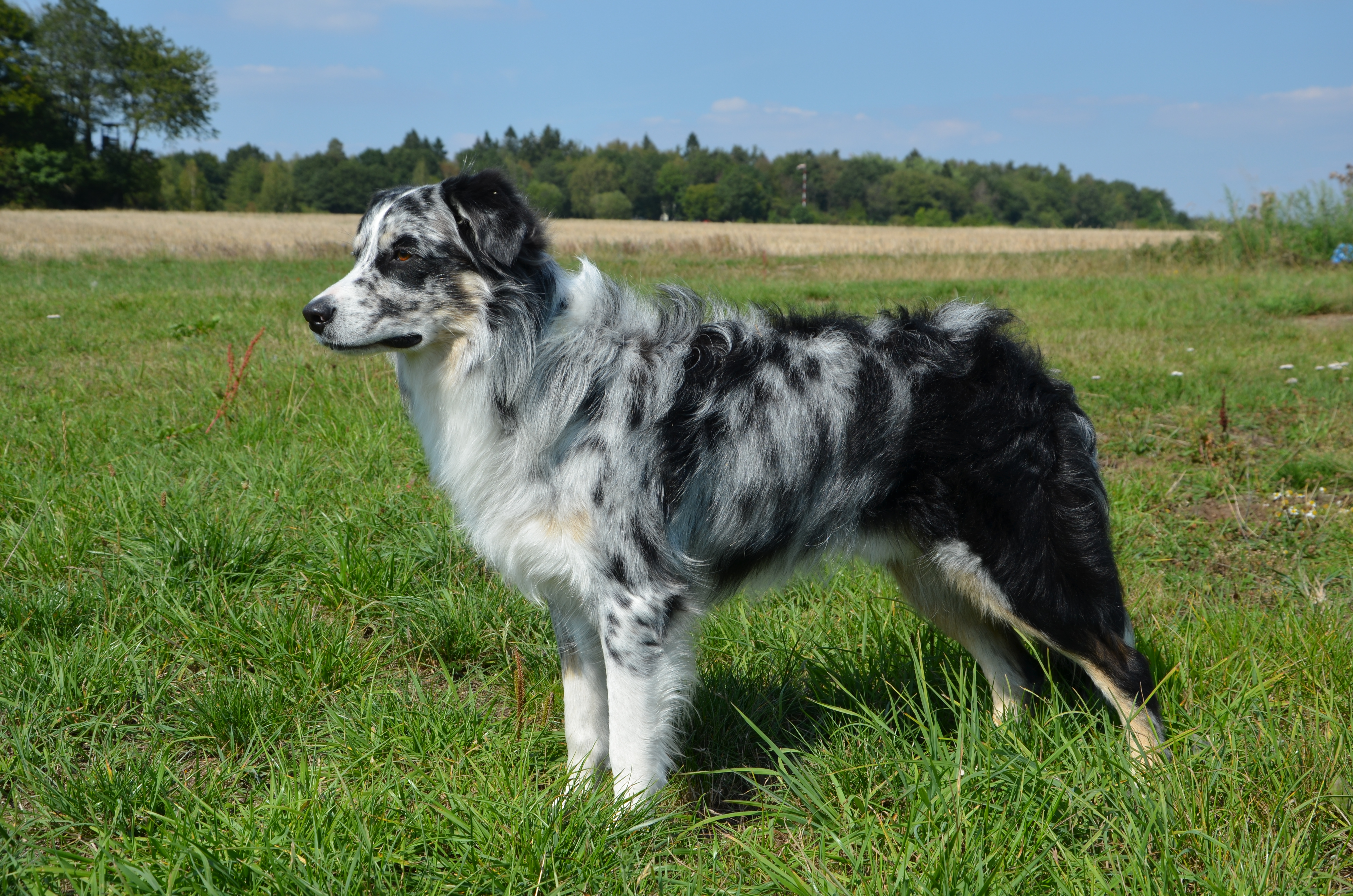 Toryn4Jahre