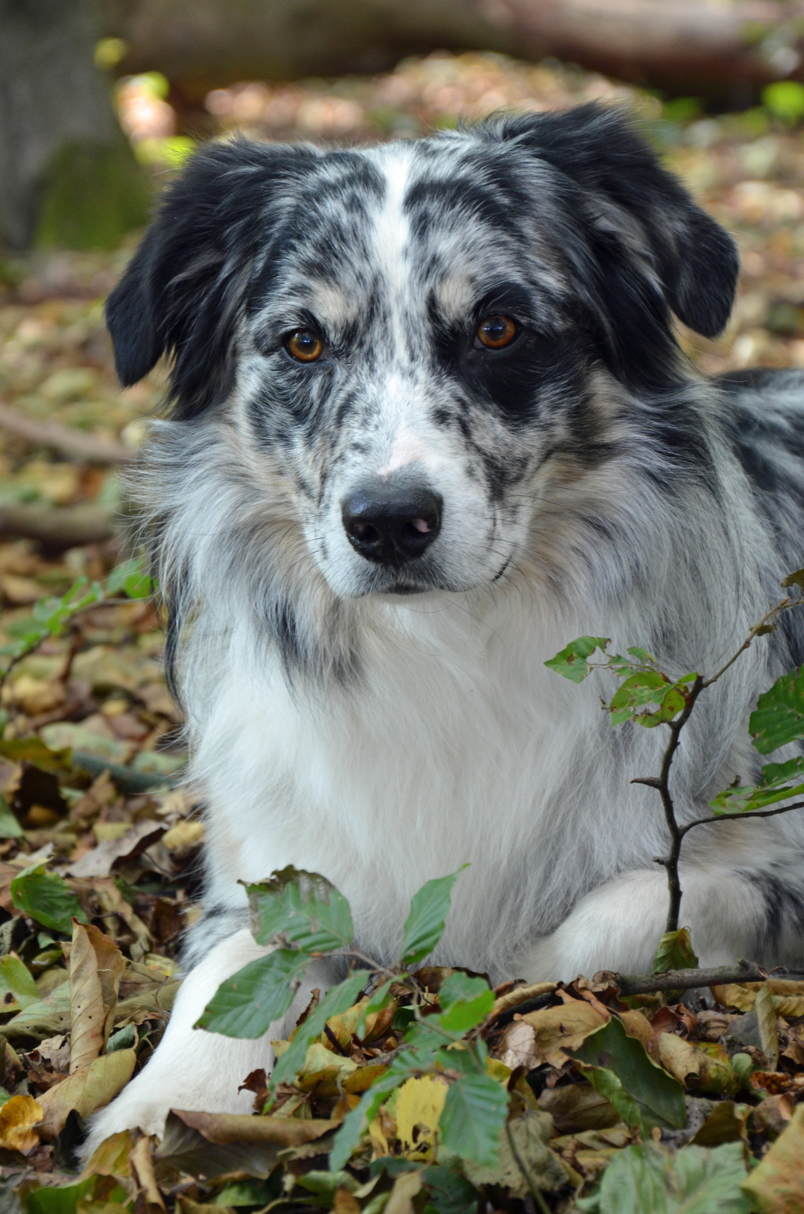 Toryn4Jahre(2)
