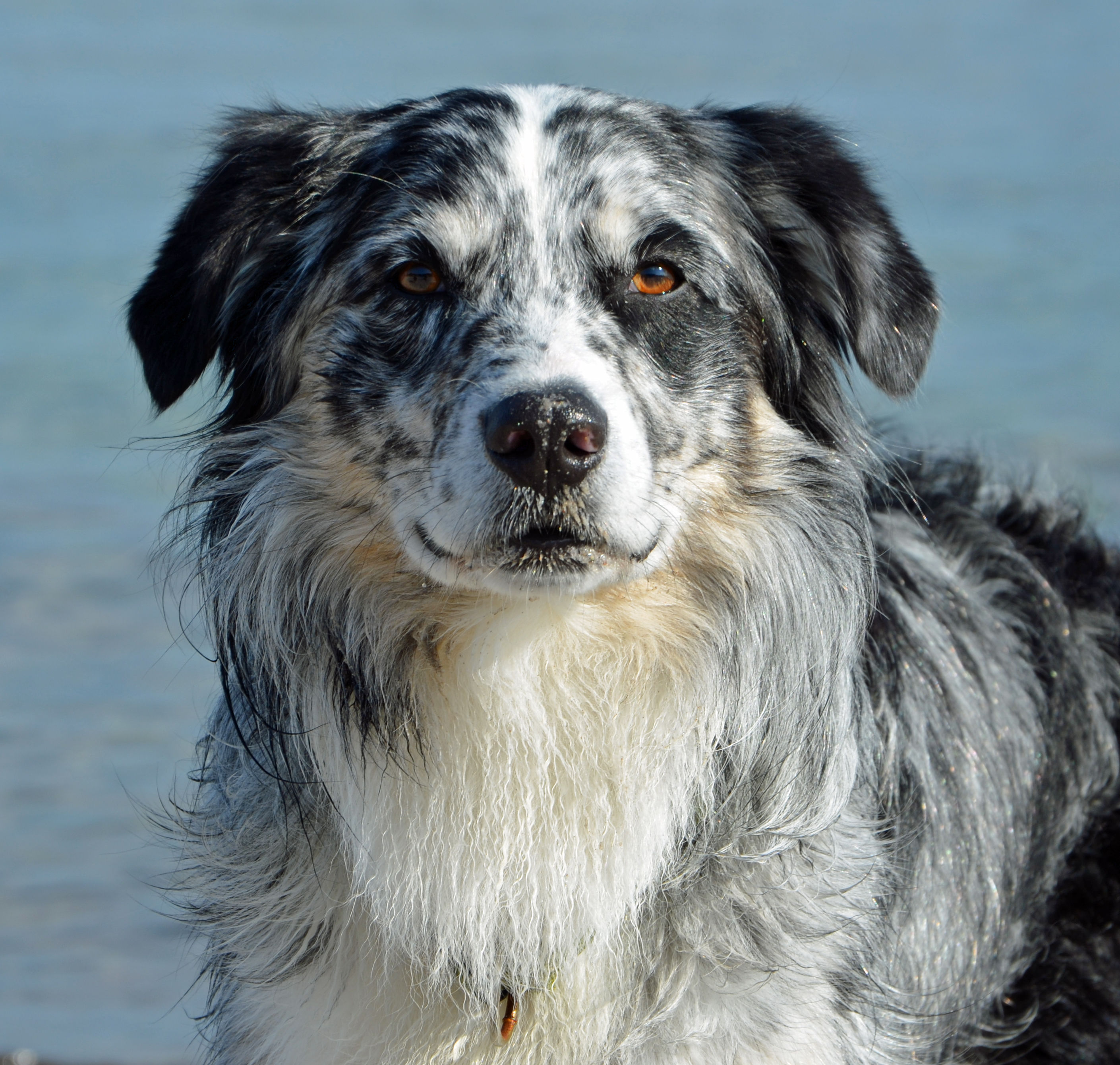 Toryn5Jahre