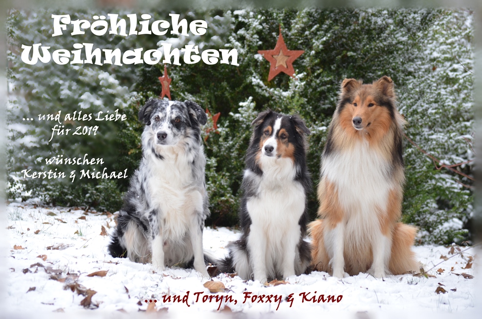 Weihnachtsgr��e2018