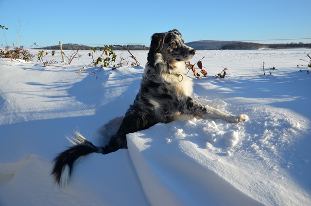 Winter(1)