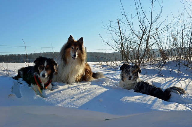 Winter(2)