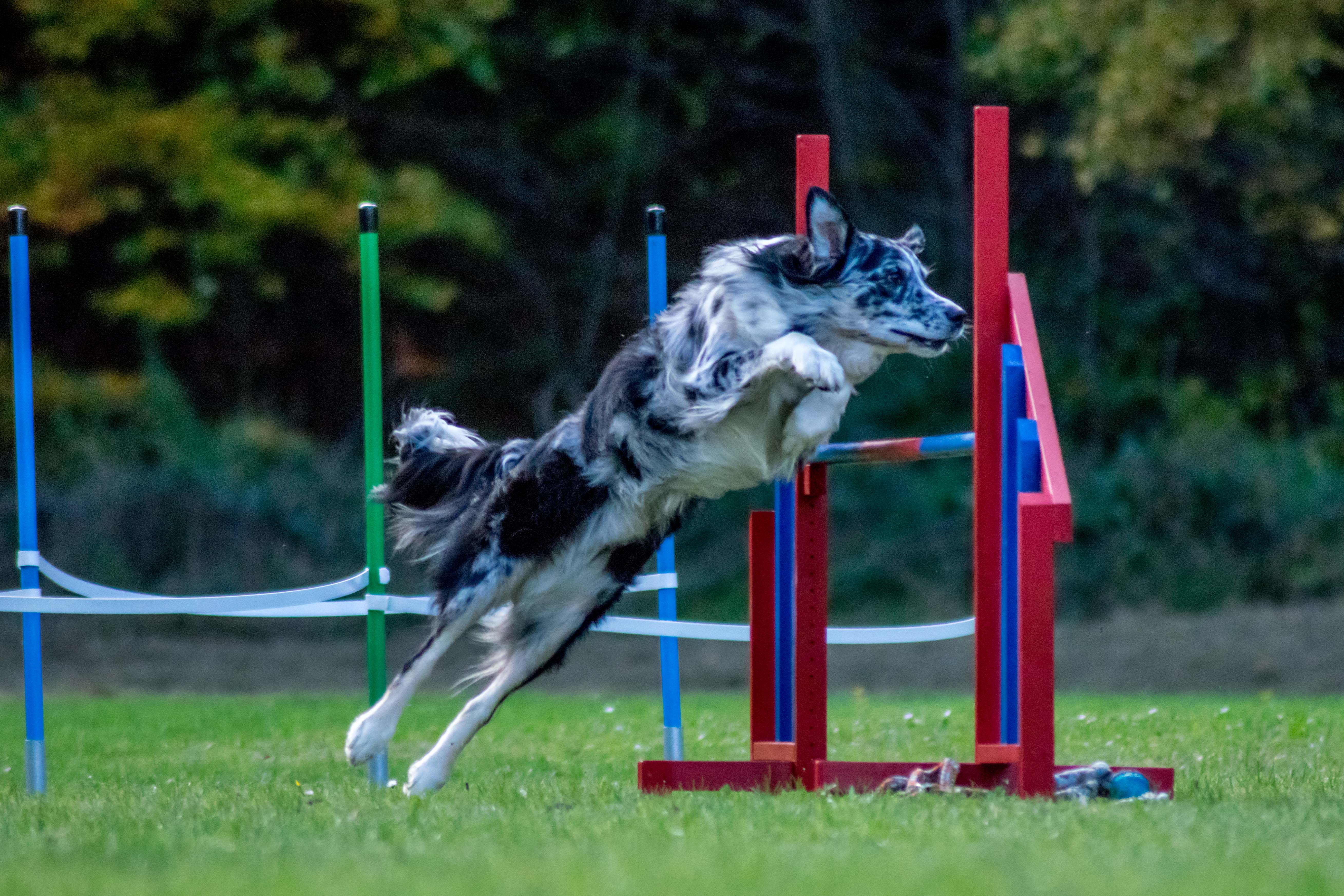 agility051_161029